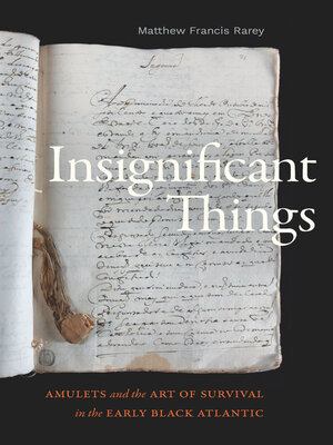cover image of Insignificant Things